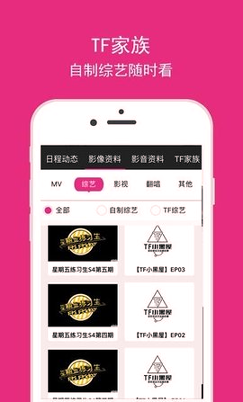 tf家族