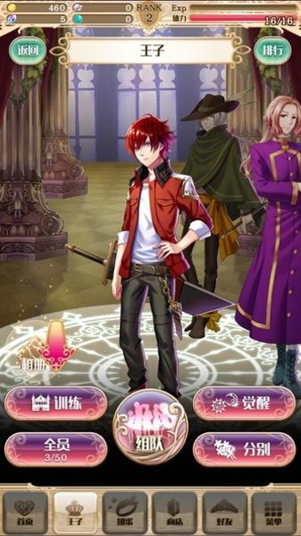 梦王国与沉睡的100名王子汉化版