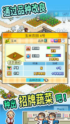 晴空农场