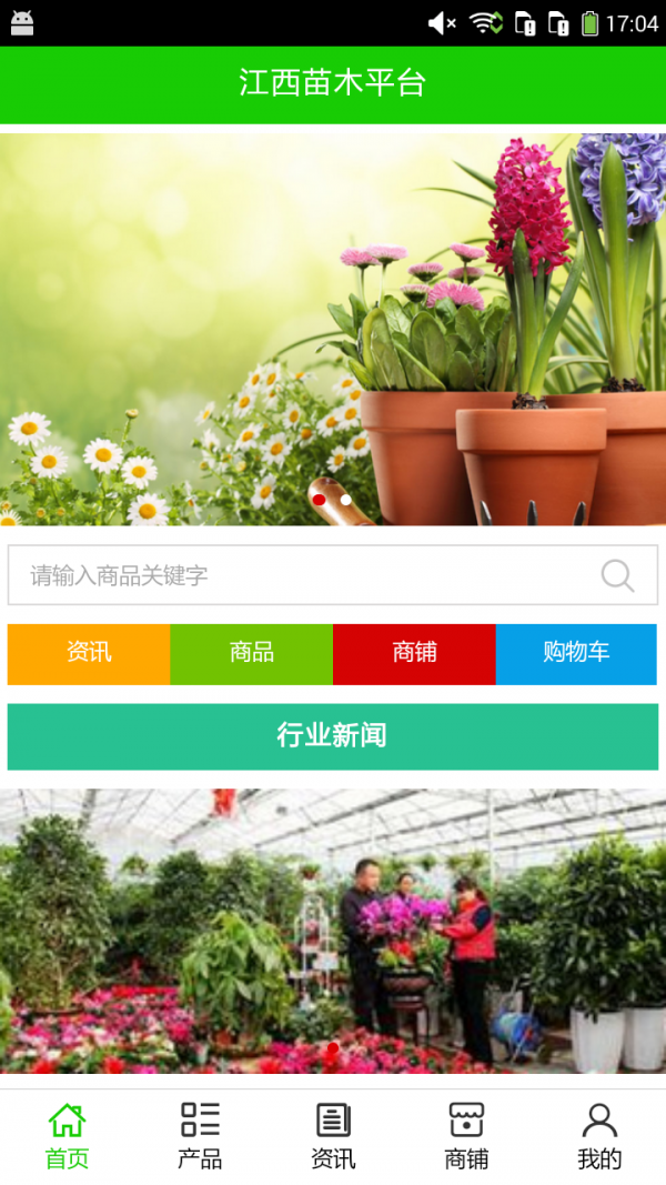 江西苗木市场