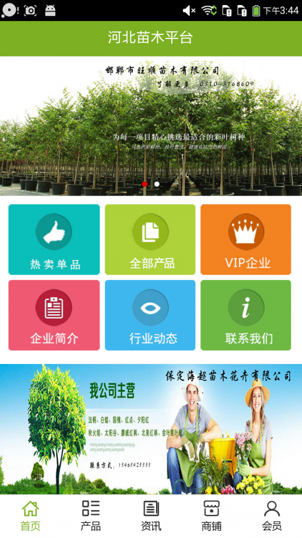 河北苗木平台