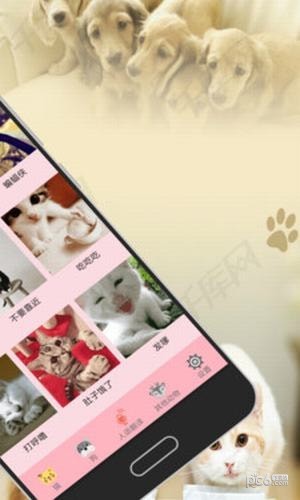 猫狗翻译器