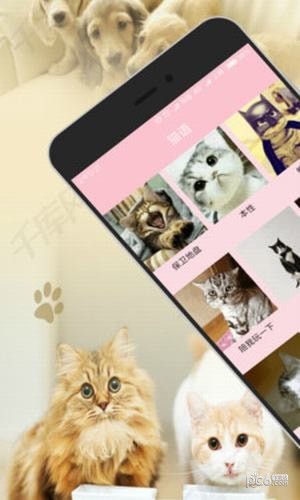 猫狗翻译器