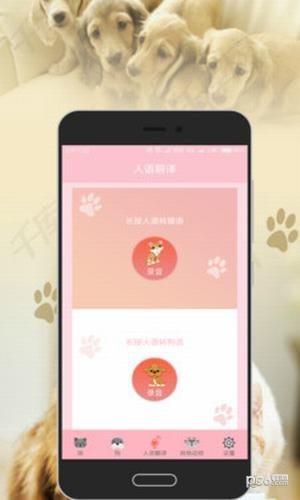 猫狗翻译器