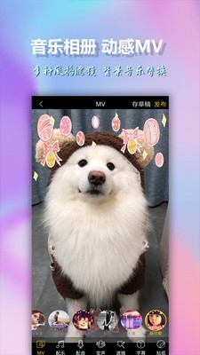 美影视频