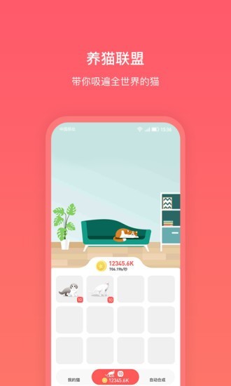养猫联盟