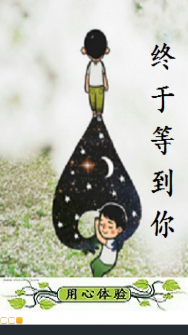 椰果天气