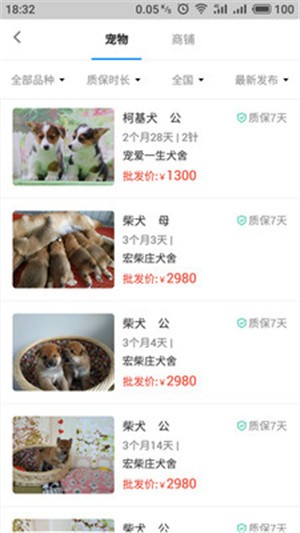 宠物批发