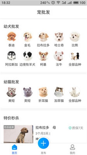 宠物批发