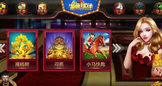 老291棋牌官网版