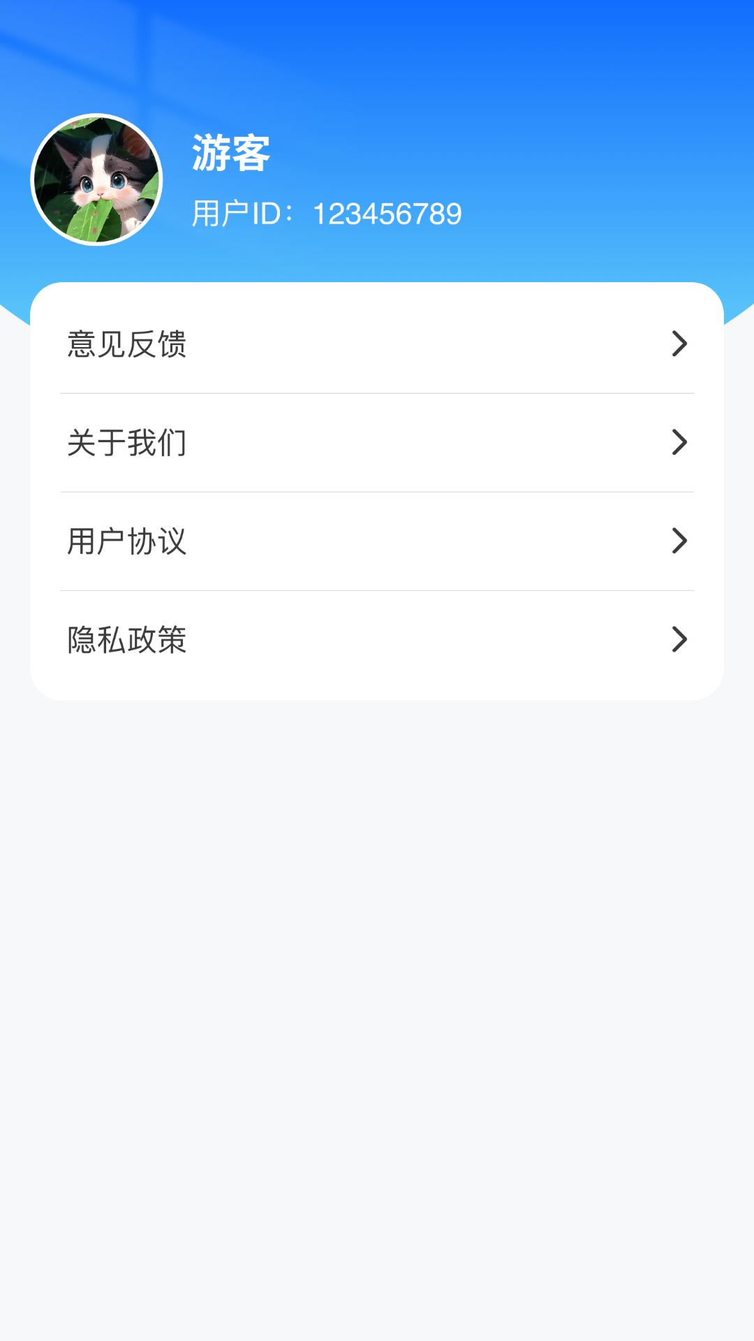 鸿运测量仪