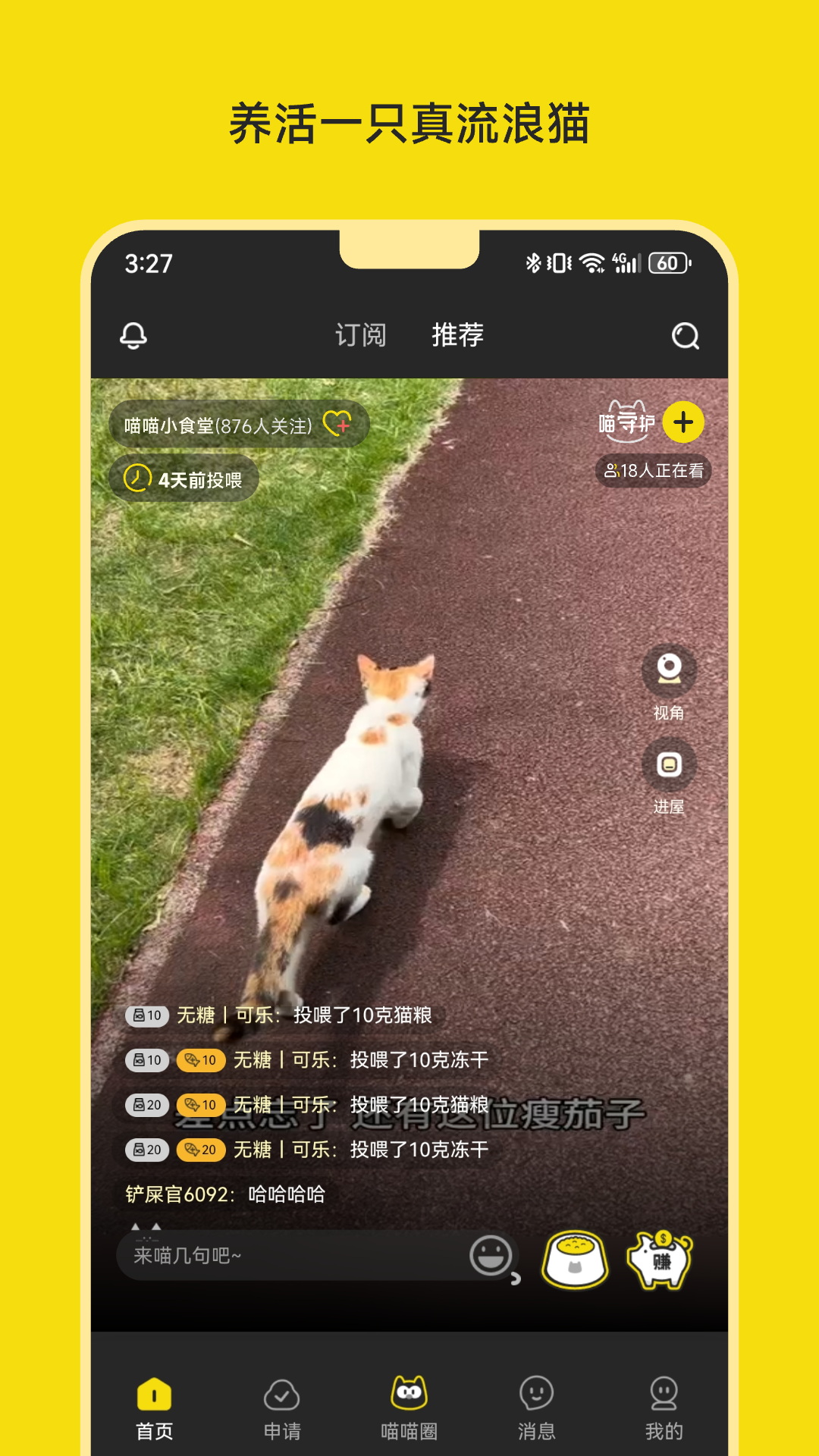喵喵不易