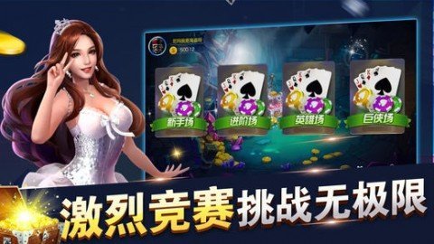 4副牌拖拉机160分升级