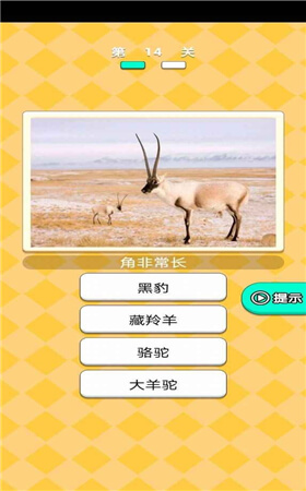 动物研究院