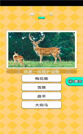 动物研究院