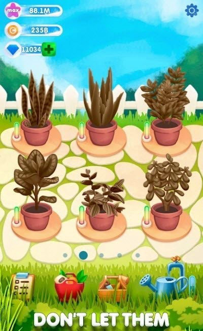 闲置植物花园