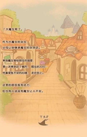不思议杂货汉化版