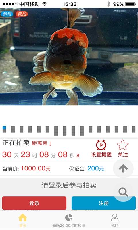 拍鱼网