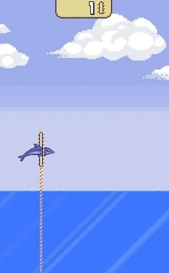 海豚先生