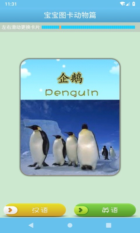 宝宝图卡动物篇