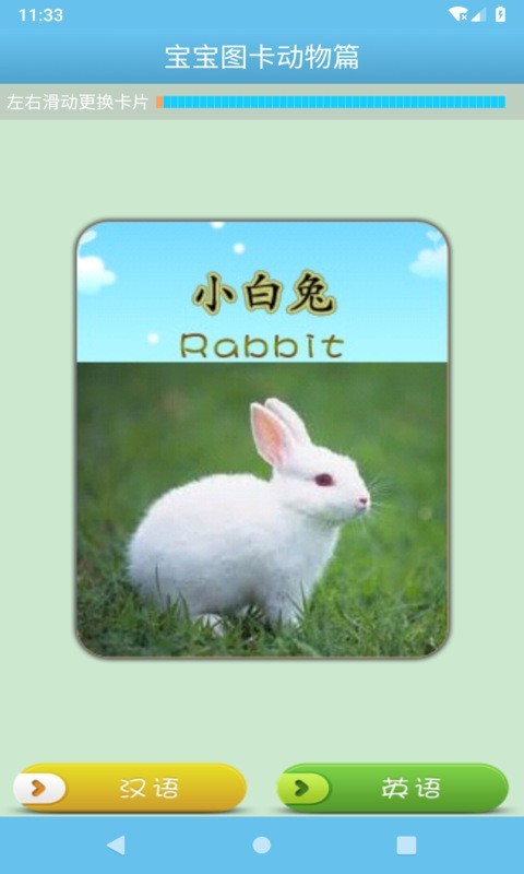 宝宝图卡动物篇