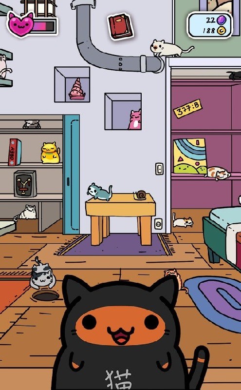 偷窃的猫