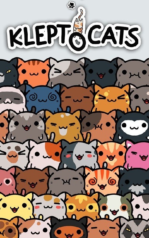 偷窃的猫