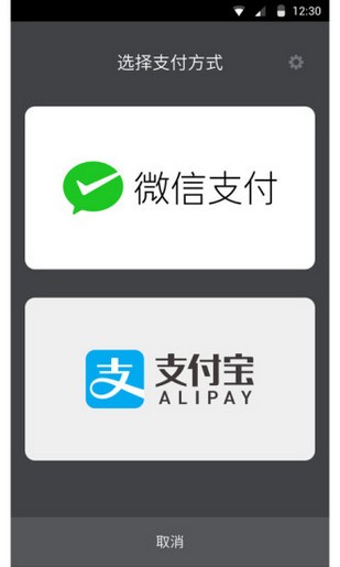 极简付款