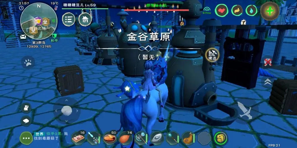 创造与魔法可可豆可以做什么食物