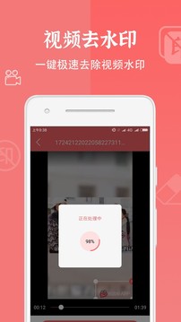 视频去水印大师app