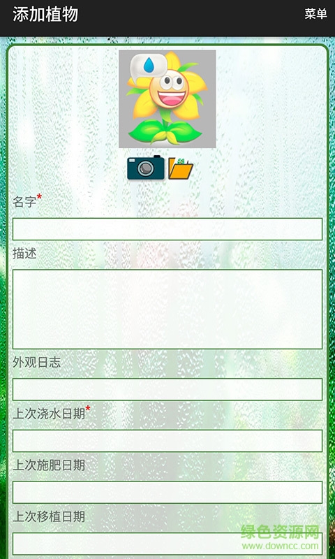 幸运植物