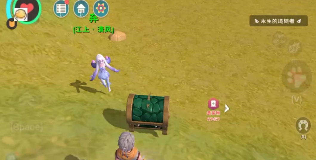 创造与魔法遮天树种子有什么用