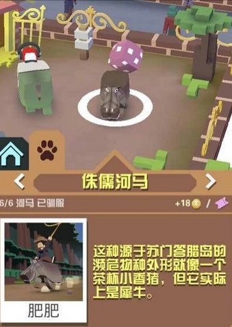 疯狂动物园稀有斑马怎么抓