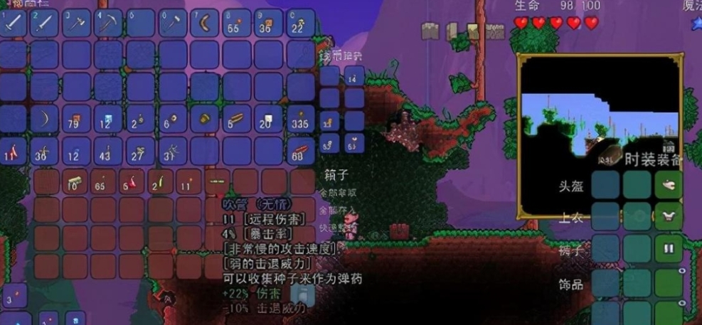 泰拉瑞亚召唤职业怎么玩