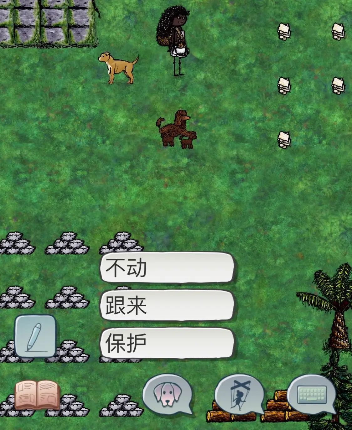 希望之村怎么养狗