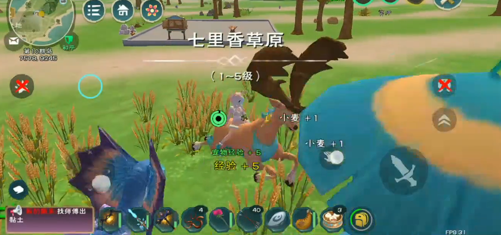 创造与魔法飞行坐骑在哪里抓 创造与魔法飞行坐骑在哪里抓