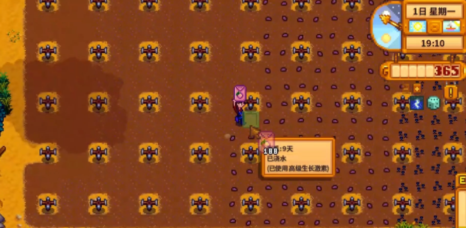 星露谷物语甜瓜怎么处理