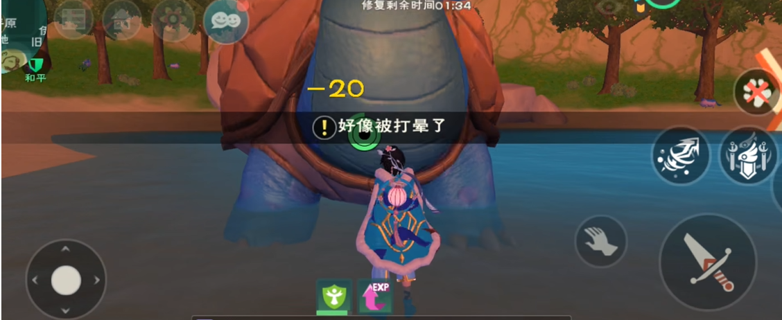 创造与魔法龟在哪 创造与魔法龟在哪