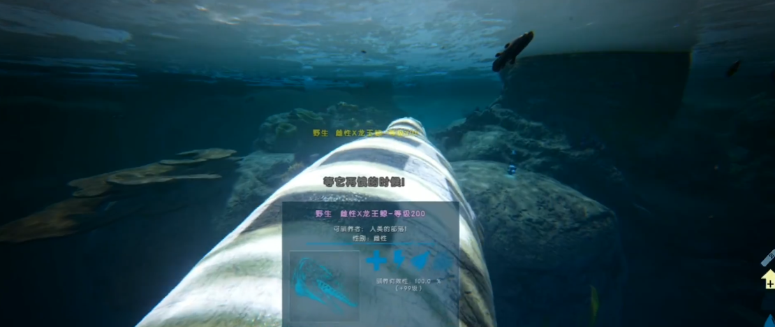 方舟生存进化怎样驯服的更快 方舟生存进化怎样驯服的更快