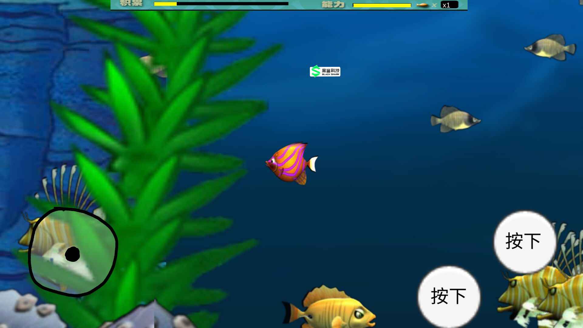 大鱼吃小鱼
