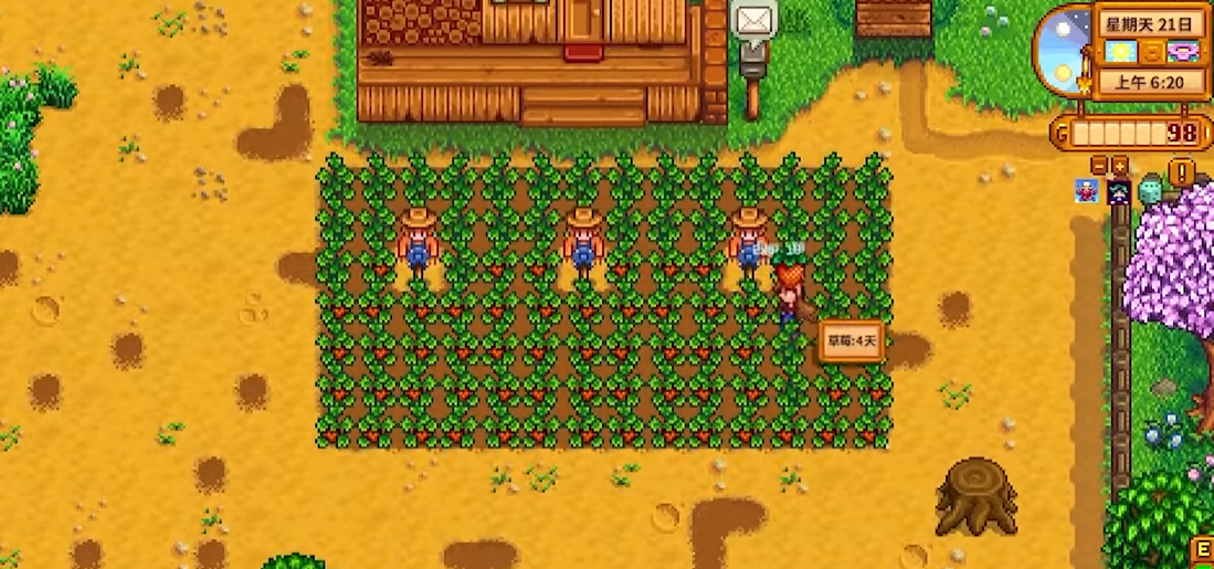 星露谷物语前期种什么收益高