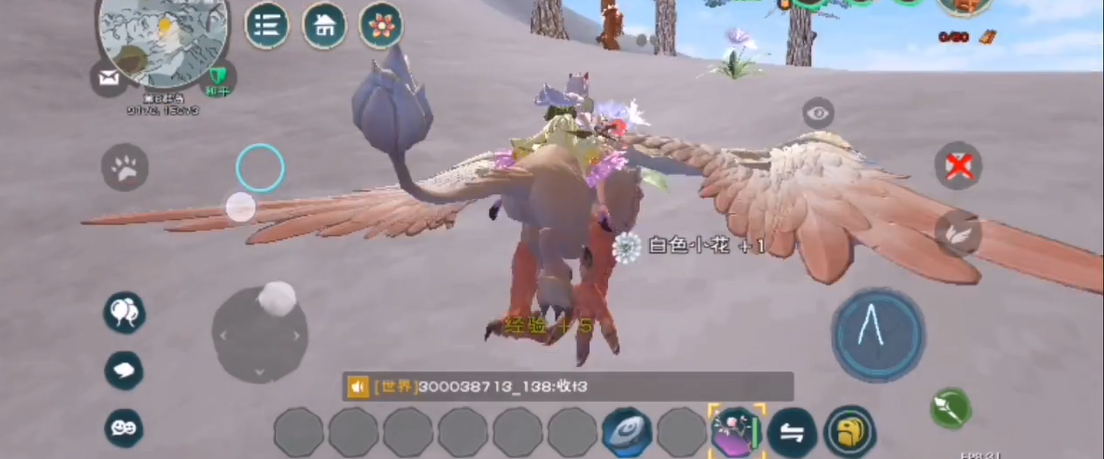 创造与魔法白色小花在哪