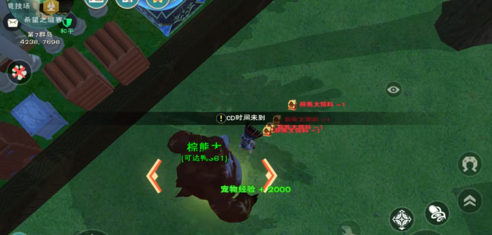 创造与魔法如何驯服熊