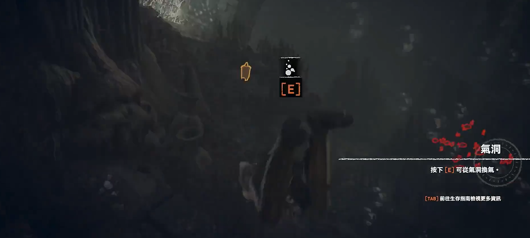 古墓丽影暗影食人鱼古墓怎么过