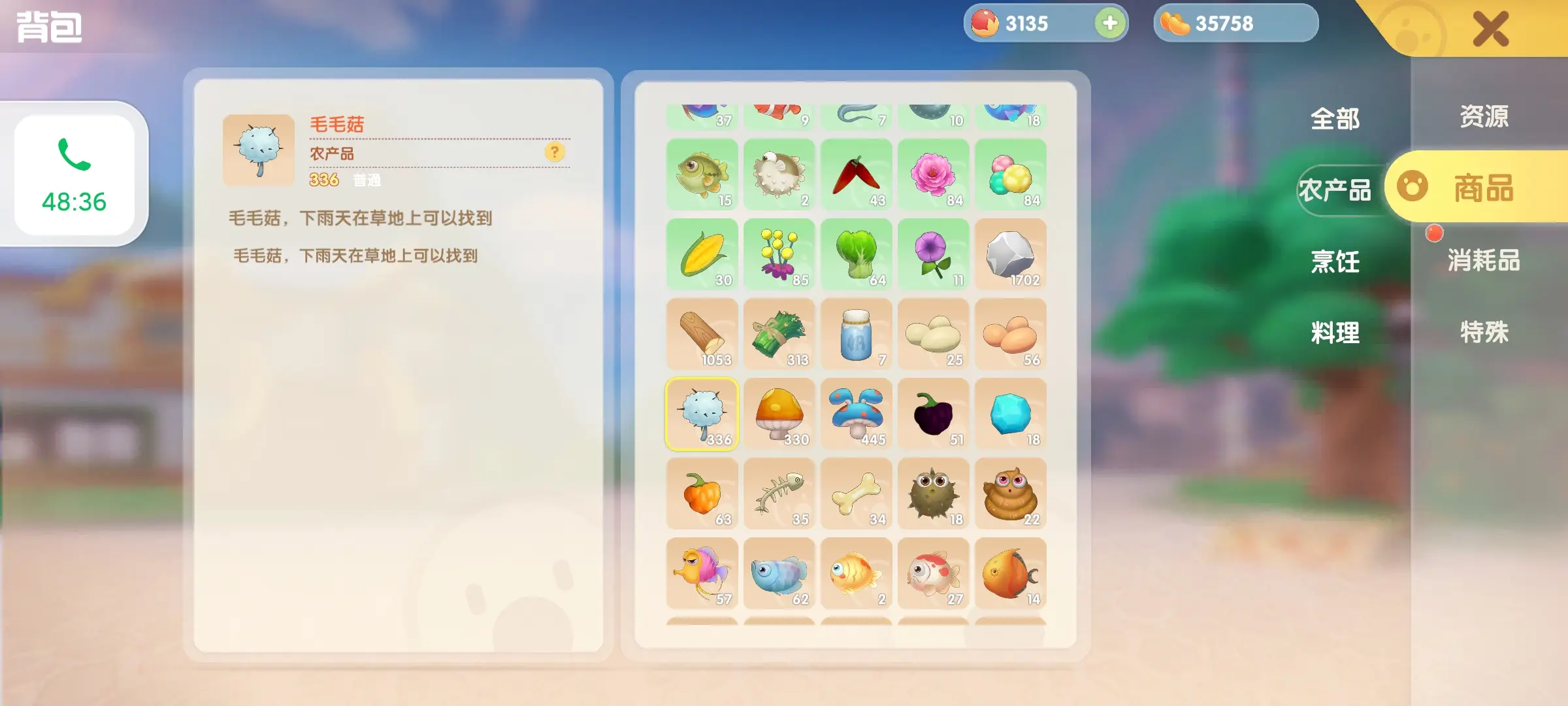 摩尔庄园下雨天要做什么