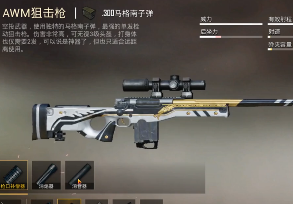 绝地求生里面有哪些狙击枪 绝地求生里面有哪些狙击枪