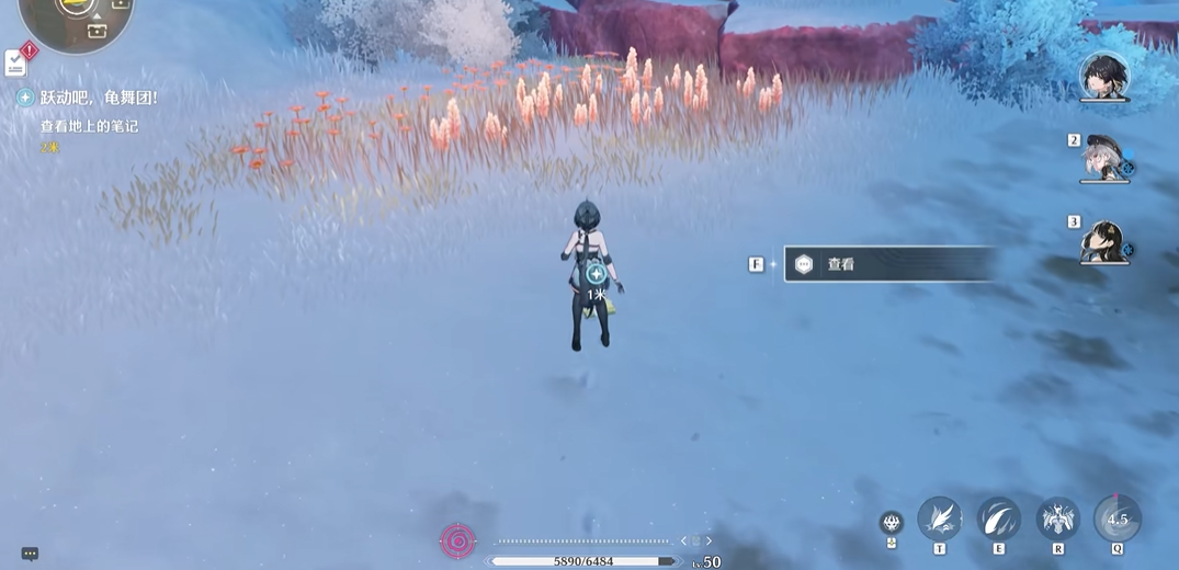 鸣潮龟舞团任务在哪