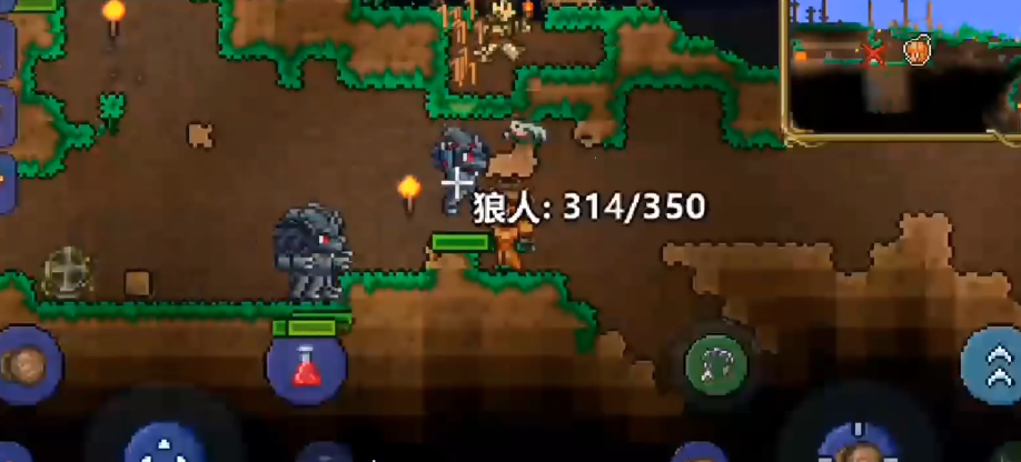 泰拉瑞亚如何快速刷狼人 泰拉瑞亚如何快速刷狼人
