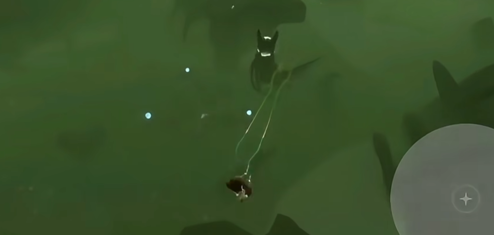 光遇新手怎么驯龙