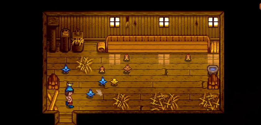 星露谷物语要怎么养鸡